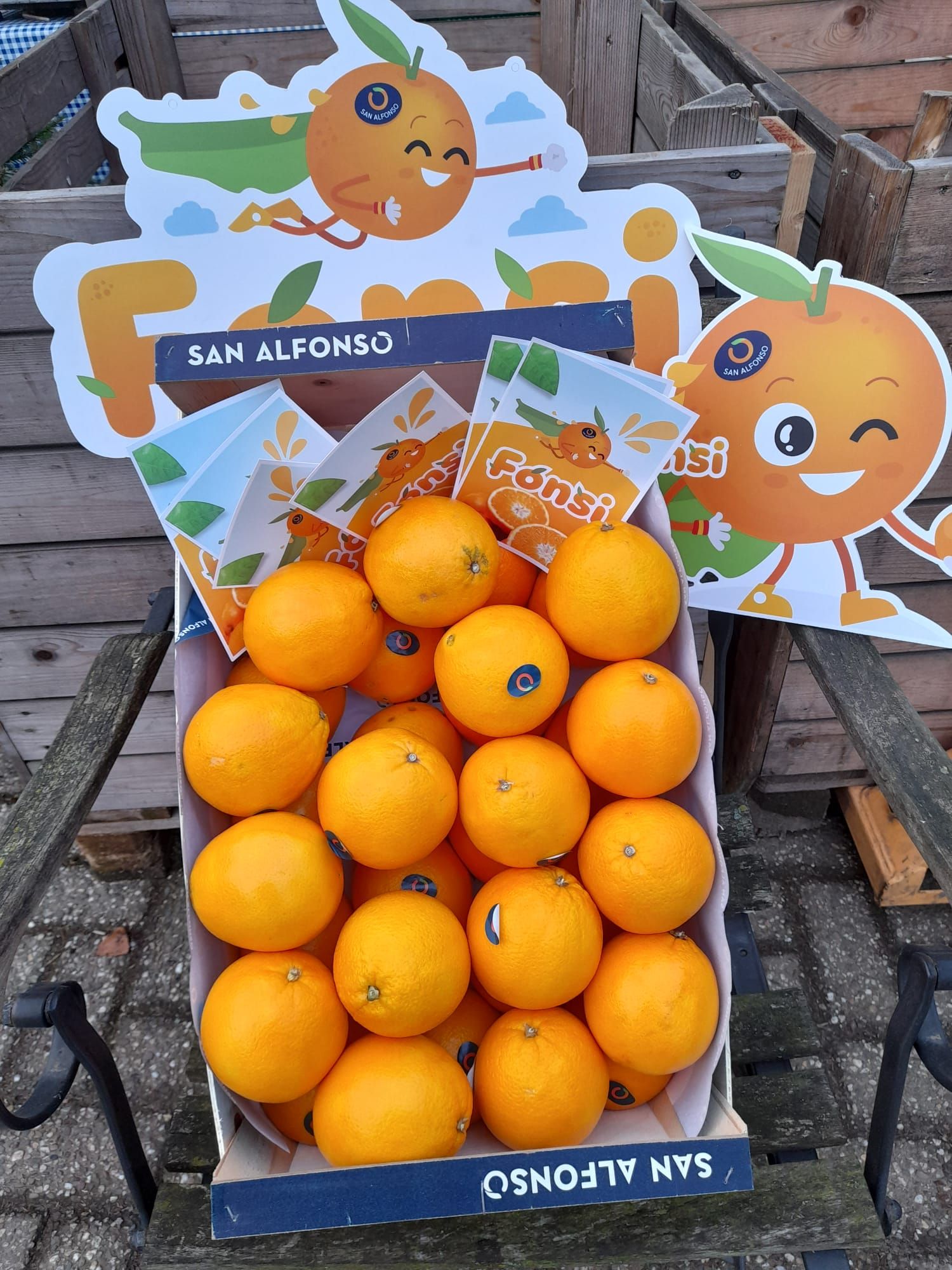 Handsinaasappels bij Boerderijwinkel Lensink in Lintelo